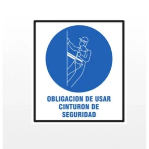 cartel obligacion usar cinturon BM