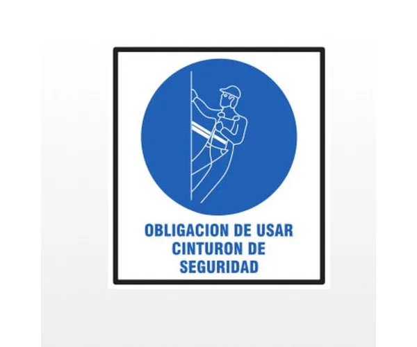 cartel obligacion usar cinturon BM
